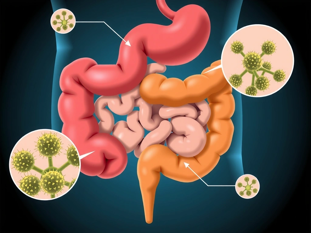 Diagrama ilustrativo del sistema digestivo humano con énfasis en el intestino y la microbiota.